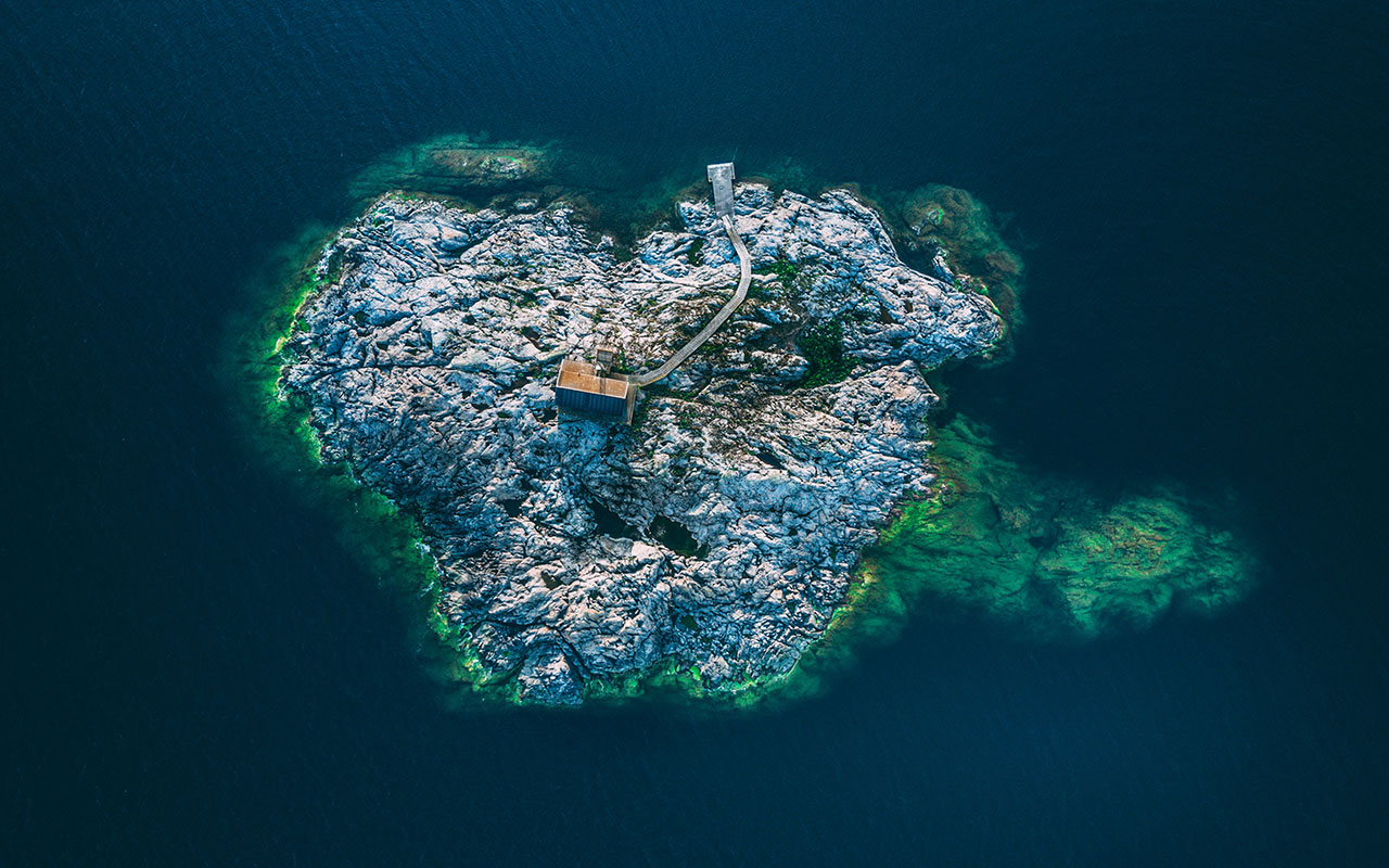 Wedding Image 10